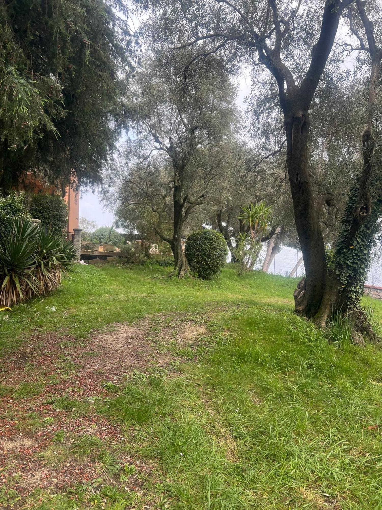 Bas De Villa Vue Mer Eze Village Ngoại thất bức ảnh